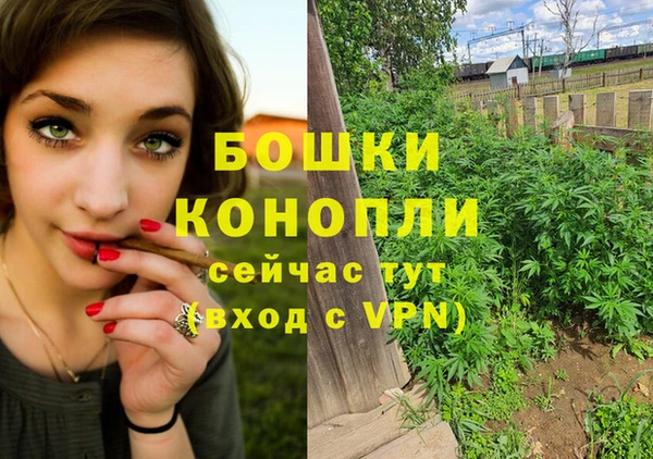 крисы Абдулино