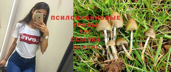 гидра Абинск
