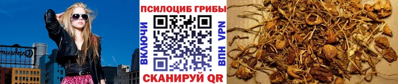 Галлюциногенные грибы Psilocybe  купить   Лысково 